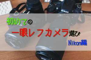 【初めてのカメラ選び】一眼レフならNikon!おすすめを紹介