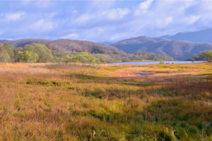 【カメラ】初心者パパカメラマン必見!F値:絞りを使いこなせ!絞るとどうなる?