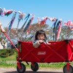 パパにオススメ！キャリーワゴンを比較してみました！