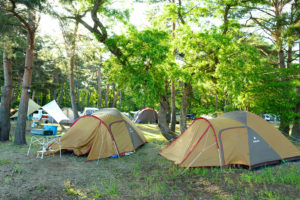 【キャンプ】簡単に暖が取れる!場所を選ばず使えるオシャレなアラジンのガスストーブ