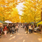 【カメラ】こどもと秋映え写真を撮りたい！光芒・ゴースト・フレアも利用しよう