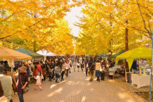 【カメラ】こどもと秋映え写真を撮りたい！光芒・ゴースト・フレアも利用しよう