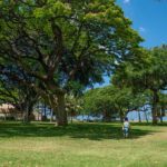 【レンズ選び】旅行には広角レンズを持って行こう！オススメする2つのポイント