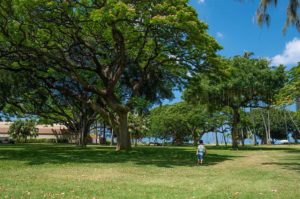 【レンズ選び】旅行には広角レンズを持って行こう！オススメする2つのポイント