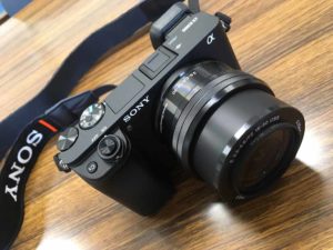 【初心者向け】ピンぼけさせないピントの合わせ方。AFの使い方を知ろう