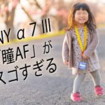 【α7ⅲのリアルタイム瞳AF】パパ・ママはAF性能でカメラを選べ