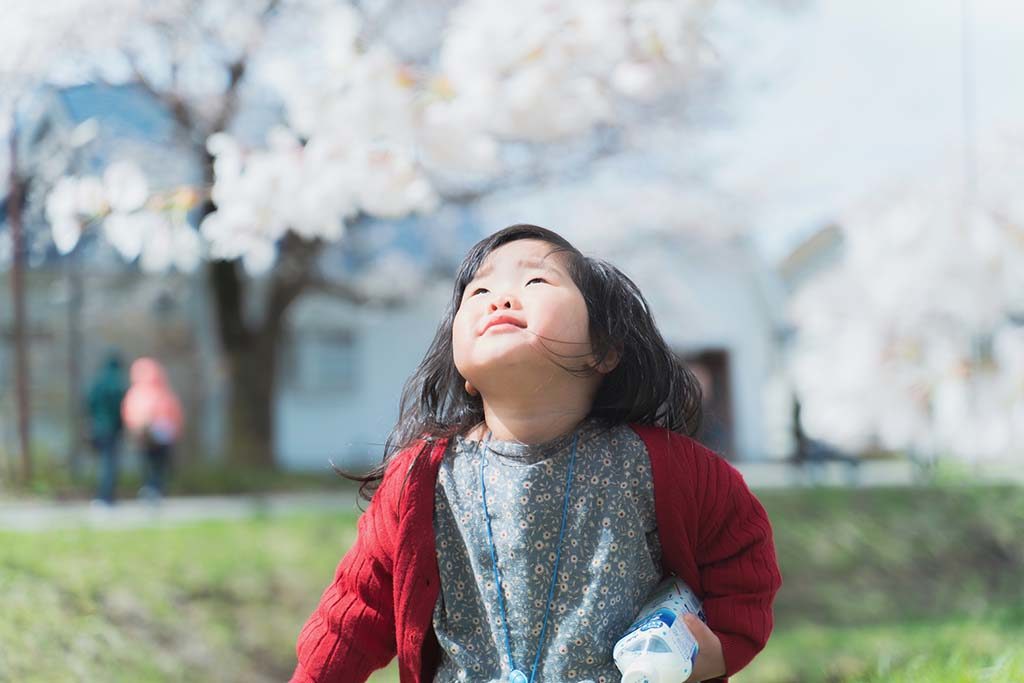 観音寺川の桜ポートレート