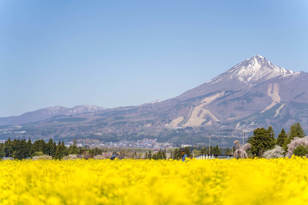 春の磐梯山