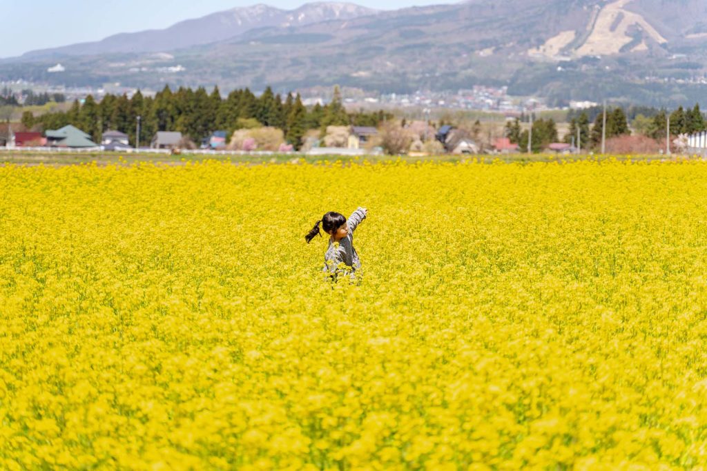 ナウシカちゃん