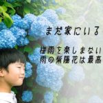 梅雨を楽しまないと損します。雨の紫陽花は最高です[in福島周辺]