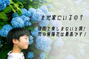 梅雨を楽しまないと損します。雨の紫陽花は最高です[in福島周辺]