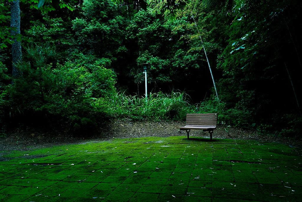 趣のあるベンチ