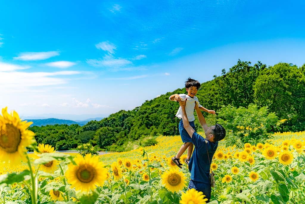 福島】夏のおすすめ観光スポット!三ノ倉高原ひまわり畑レビュー