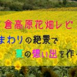 【福島】夏のおすすめ観光スポット!三ノ倉高原ひまわり畑レビュー