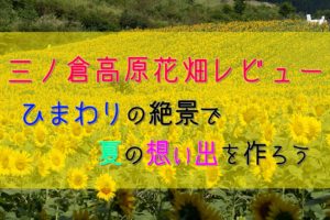 【福島】夏のおすすめ観光スポット!三ノ倉高原ひまわり畑レビュー