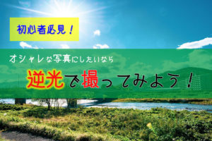 【撮影テクニック】ドラマチックな写真が撮りたいなら逆光を狙え!