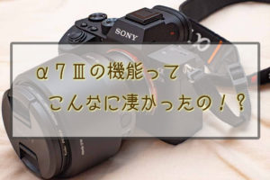 α７Ⅲの機能を一挙解説】SONYのカメラの機能が凄過ぎる！