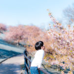 【福島の春】早咲きの河津桜！いわきで一足先に春を満喫